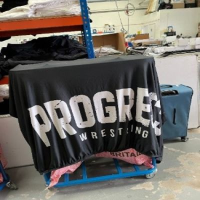 Progress large flag/case